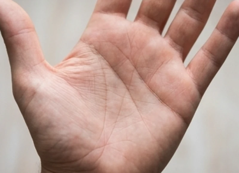 Điểm đứt đoạn nhỏ trên đường chỉ tay chính phản ánh sự gián đoạn về sinh lực hoặc tài chính