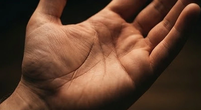 Một đường chỉ tay dài và sâu kéo từ rìa mép tay chạm vào đường sinh đạo đại diện cho việc định cư