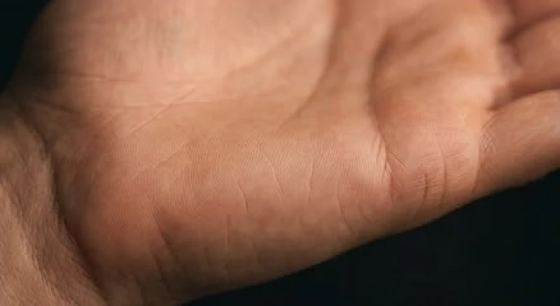 Lòng bàn tay có nhiều đường chỉ mờ nhạt và ngắn nằm rải rác ở mép tay thể hiện các chuyến đi ngắn hạn