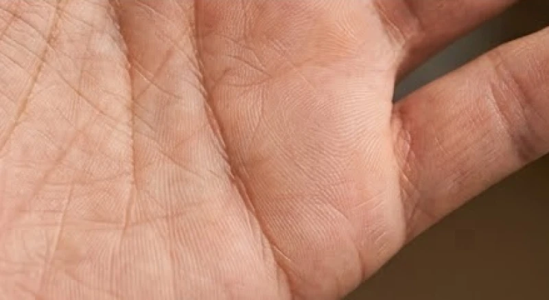 Cách xem số con qua chỉ tay: Quy tắc chọn tay và đếm vân 7 Rãnh vân đứt gãy từng đoạn trên gò Thủy Tinh là hệ thống cảnh báo rủi ro sinh lý
