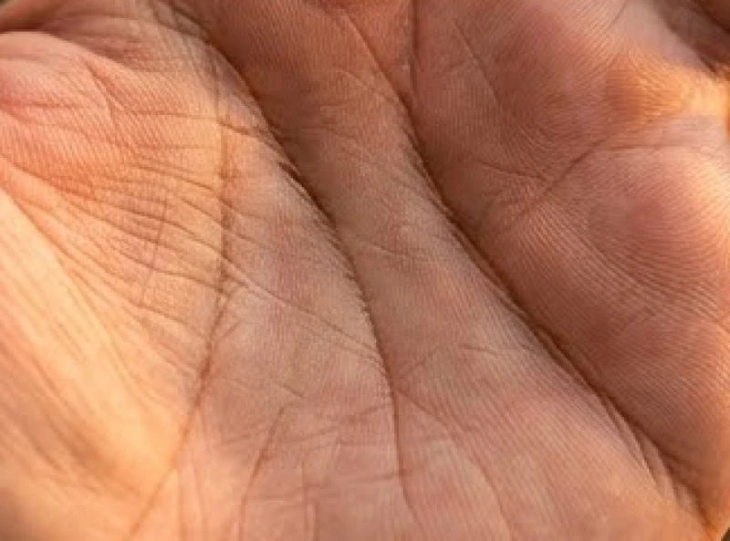 Chữ X xuất hiện tách biệt và độc lập ở vùng không gian giữa đường Trí Đạo và Tâm Đạo