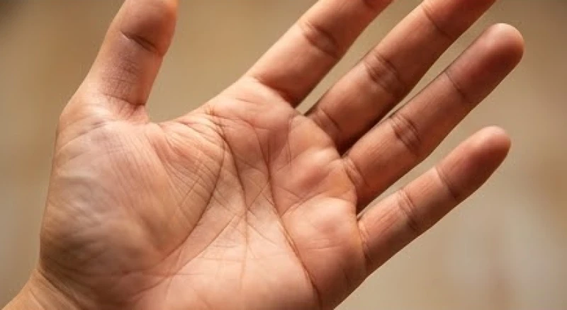 Lòng bàn tay với các đường chỉ tay rõ nét dưới gốc ngón út, thể hiện dấu hiệu vượng tài và danh vọng