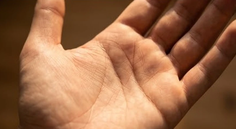 Đường sự nghiệp dài: Tiêu chuẩn nhận biết và ý nghĩa luận giải 6 Lòng bàn tay dưới ánh sáng chiếu nghiêng làm nổi bật những nhánh rẽ nhỏ ở phần cuối của nếp gấp dọc
