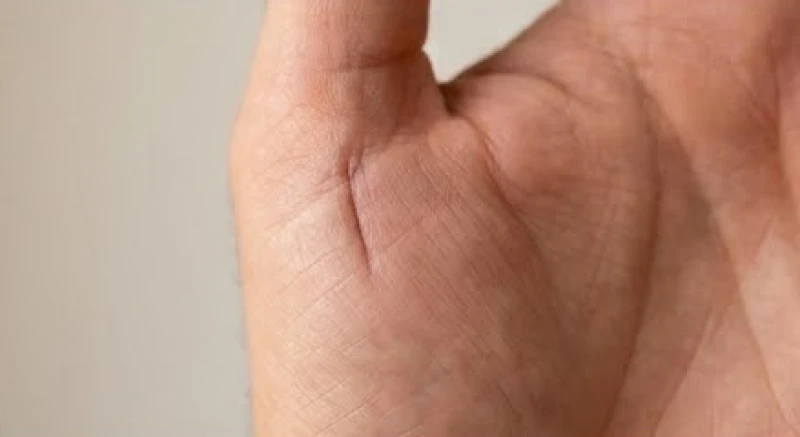 Đường chỉ tay con cái hằn sâu và dài thẳng đứng dự đoán khả năng sinh con trai