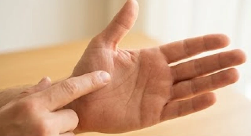 Lòng bàn tay hé mở hiển thị vị trí đường sinh mệnh bao quanh gò Kim Tinh