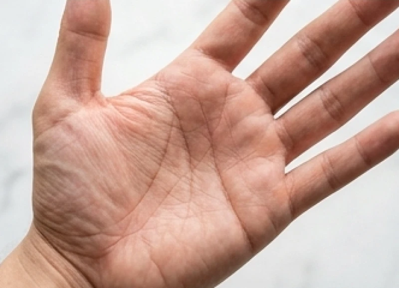 Xem chỉ tay trái hay tay phải: Quy tắc chọn tay và cách đối chiếu 9 Các đường chỉ tay trên bàn tay chủ động dần biến đổi nhờ những nỗ lực trong thực tế