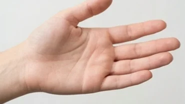 Vị trí chính xác chỉ rõ đường con cái nằm ở đâu trên gò Thủy tinh của bàn tay