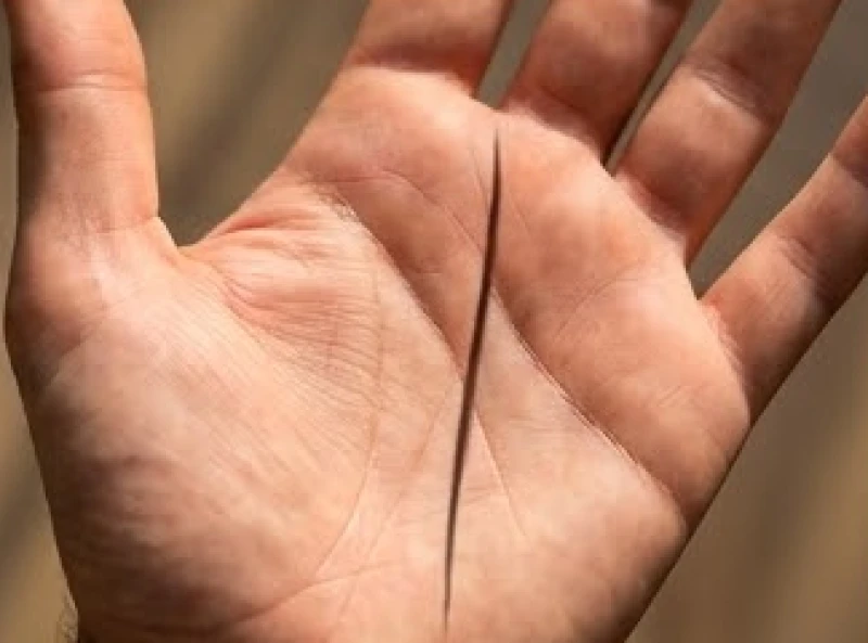 Đường chỉ tay chạy dọc từ dưới cổ tay đâm thẳng lên trung tâm phần gốc ngón tay giữa