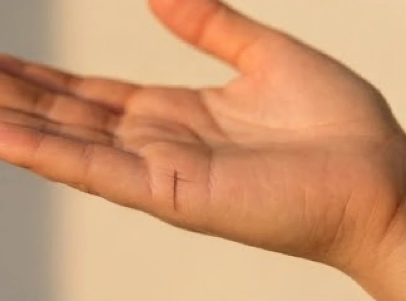Một đường chỉ tay dài vút và sắc nét thể hiện cuộc sống gia đình êm ấm hỗ trợ sự nghiệp