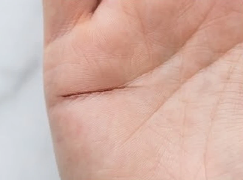 Một đường rãnh chỉ tay sâu và liền mạch nổi bật giữa nhiều nếp gấp mờ nhạt xung quanh
