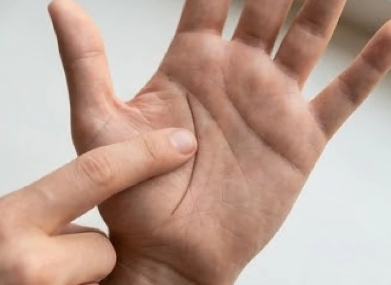 Cách xác định các đường chỉ tay: Từng bước qua mốc giải phẫu 4 Đường sinh đạo cong vòng ôm trọn gò Kim Tinh ở dưới gốc ngón tay cái