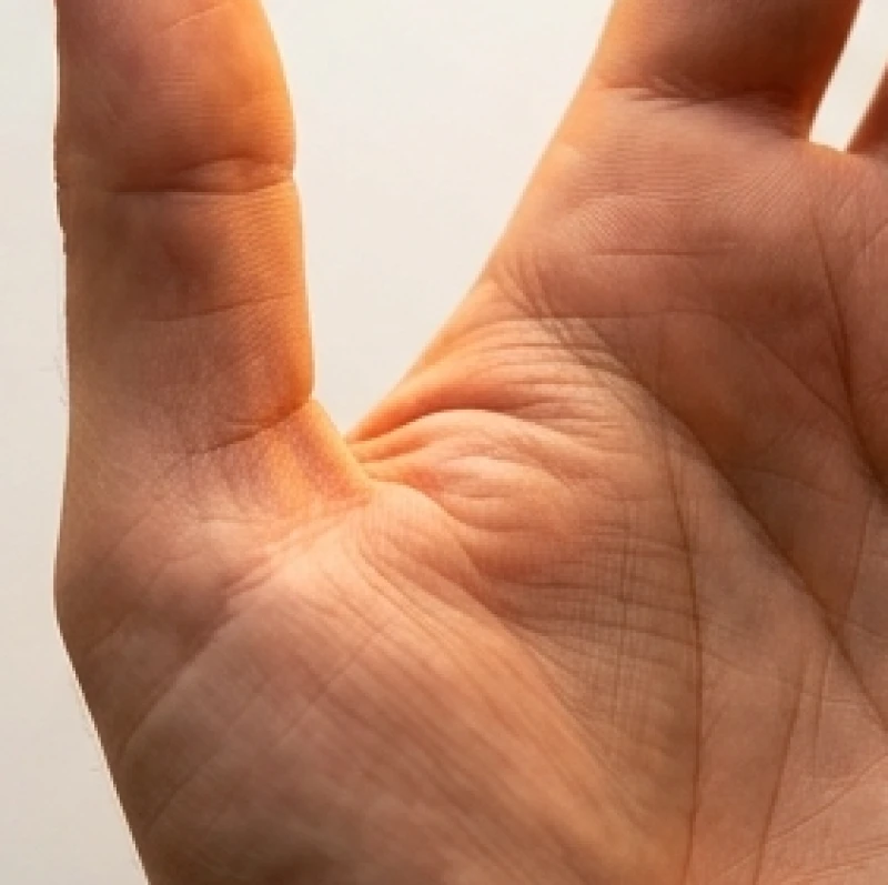 Xem chỉ tay là gì: Nguồn gốc, 4 đường chính và cách dùng AI 6 Đường sinh đạo chạy vòng quanh gốc ngón cái và đường tâm đạo nằm phía trên lòng bàn tay