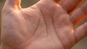 Bàn tay sở hữu đường sinh mệnh dài uốn cong ôm trọn gò Kim Tinh sắc nét