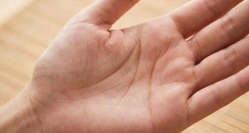 Đường sinh mệnh dài, sâu và ửng hồng tự nhiên ôm trọn gò Kim Tinh trên bàn tay phụ nữ
