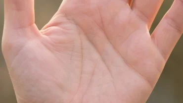 Cận cảnh lòng bàn tay ngửa lên với đường sinh mệnh mờ nhạt dưới ánh sáng tự nhiên ấm áp