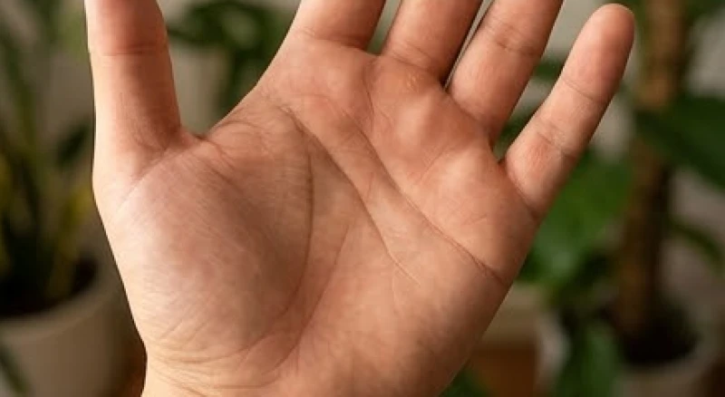 Bàn tay hiện rõ nếp gấp sinh khí chỉ kéo dài đến giữa lòng bàn tay nhưng được khắc sâu và liền mạch