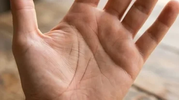 Bàn tay ngửa lên với đường sinh đạo và đường sinh mệnh phụ chạy song song rõ nét trên gò Kim Tinh