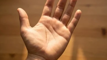 Bàn tay mở rộng dưới ánh sáng tự nhiên làm nổi bật đường sự nghiệp dài và rõ nét chạy dọc lòng bàn tay