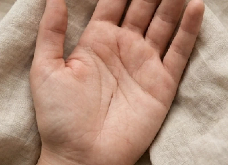 Đường sự nghiệp ở nữ: Quy tắc chọn tay và ý nghĩa từng hình dáng 6 Đường sự nghiệp mờ nhạt và bị ngắt quãng tại khu vực trung tâm lòng bàn tay người phụ nữ