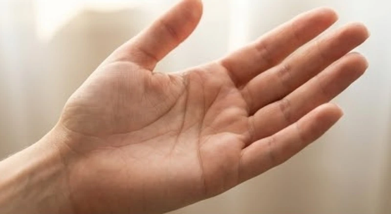 Bàn tay trái của nữ giới thể hiện quá trình nỗ lực vươn lên và các cột mốc thay đổi công việc