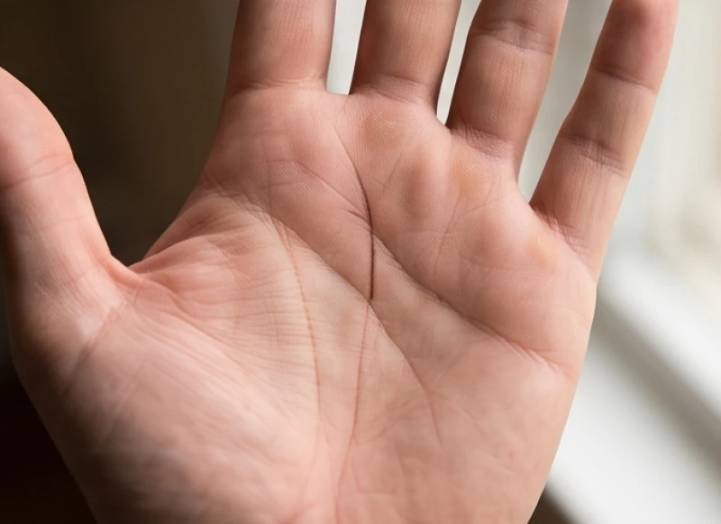 Phần cuối của đường chỉ tay dọc chẻ thành hai nhánh hình đuôi cá nằm dưới ngón giữa