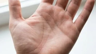 Lòng bàn tay mở rộng dưới ánh sáng tự nhiên giúp xác định chính xác đường sức khỏe nằm ở đâu và tự kiểm tra thể trạng