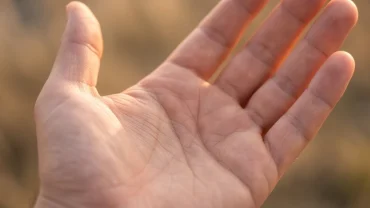 Bàn tay mở rộng dưới ánh sáng tự nhiên hiển thị rõ đường tâm đạo bị đứt đoạn phản ánh đời sống tình cảm