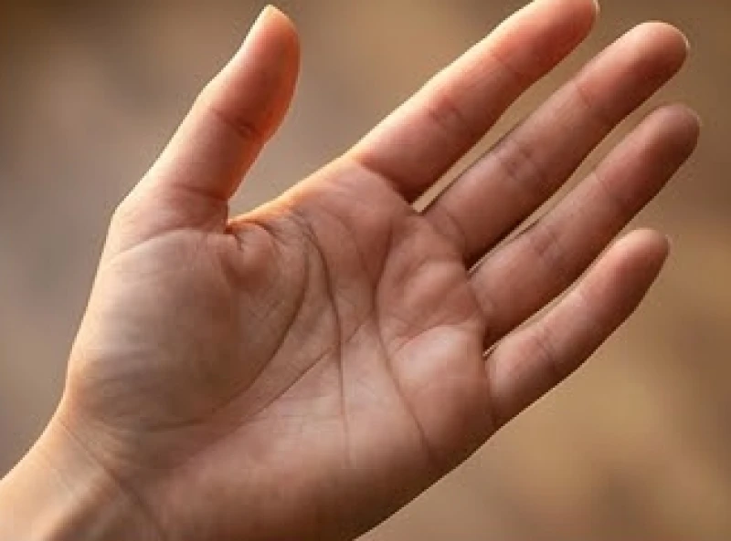 Đường tâm đạo cong nhẹ và dài sắc nét trên bàn tay nữ thể hiện khao khát tình cảm chân thành