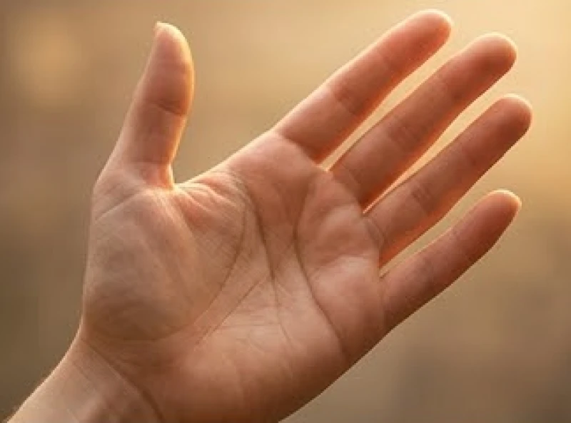 Đường tâm đạo trên tay phải thể hiện quá trình nỗ lực và sự biến đổi trong tình yêu thực tế của phái nữ