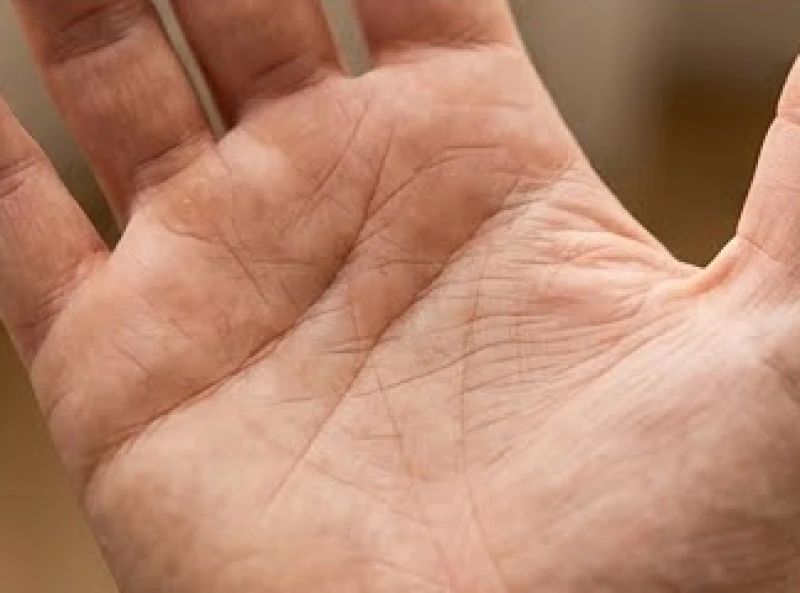 Đường sự nghiệp ngắn: Luận giải ý nghĩa và hướng hóa giải 9 Đường chỉ tay tình cảm in hằn sâu vắt ngang qua lòng bàn tay của một người trưởng thành
