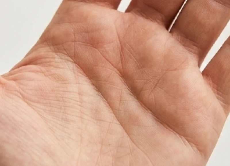 Lòng bàn tay với đường tâm đạo kéo dài từ mép tay vút cong về phía gốc ngón trỏ