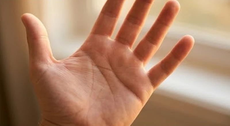 Bàn tay có đường tâm đạo thẳng và đường trí đạo phân tách rõ ràng với khoảng hở ở giữa lòng bàn tay
