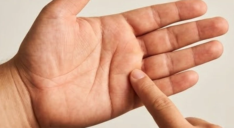 Bàn tay đầy đặn có đường Thái Dương chạy dọc dưới ngón áp út biểu thị sự viên mãn tài lộc