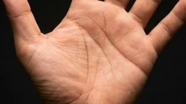 Lòng bàn tay thể hiện đường tiền tài ở nam in sâu và hiện lên rõ nét dưới ánh sáng ấm