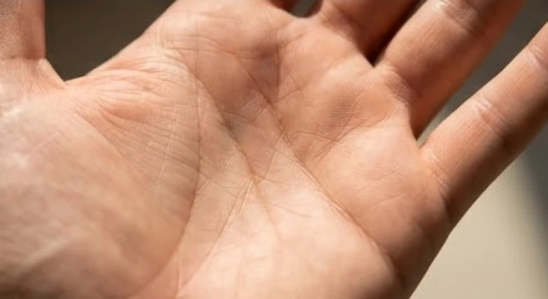Cuối đường Tâm Đạo có dấu hiệu phân thành hai nhánh nhỏ hướng lên trên các gò ngón tay