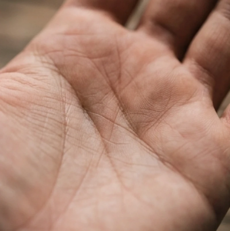 Đường trí đạo và đường sinh đạo dính liền nhau ở điểm xuất phát