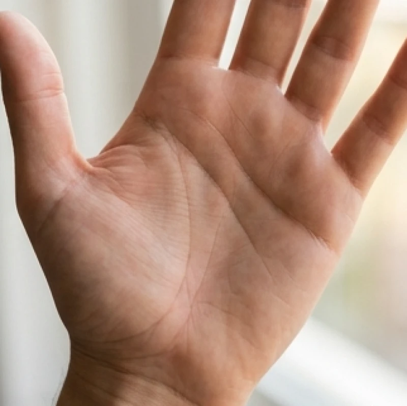 Đường trí đạo uốn cong dài xuống khu vực gò Thái Âm gần cổ tay