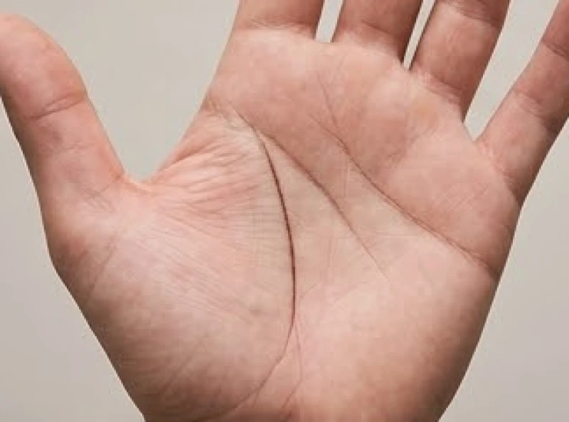 Đường trí đạo hình dây xích: Giải mã ý nghĩa và cách hóa giải 7 Đường trí đạo liền mạch và vô cùng rõ nét xuất hiện trên bàn tay thuận