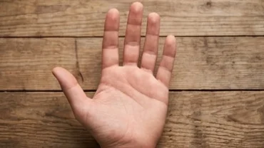 Bàn tay mở rộng hiển thị rõ đường trí đạo ngắn kết thúc ngay dưới ngón tay giữa