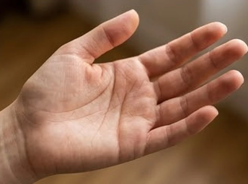 Đường trí đạo cong nhẹ hướng xuống gò Thái Âm đặc trưng trên bàn tay của người phụ nữ