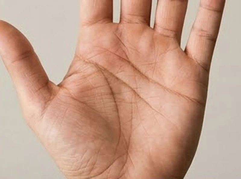 Đường sự nghiệp ngắn: Luận giải ý nghĩa và hướng hóa giải 2 Giao điểm rõ nét giữa đường sự nghiệp và đường trí đạo nằm ở khu vực giữa lòng bàn tay