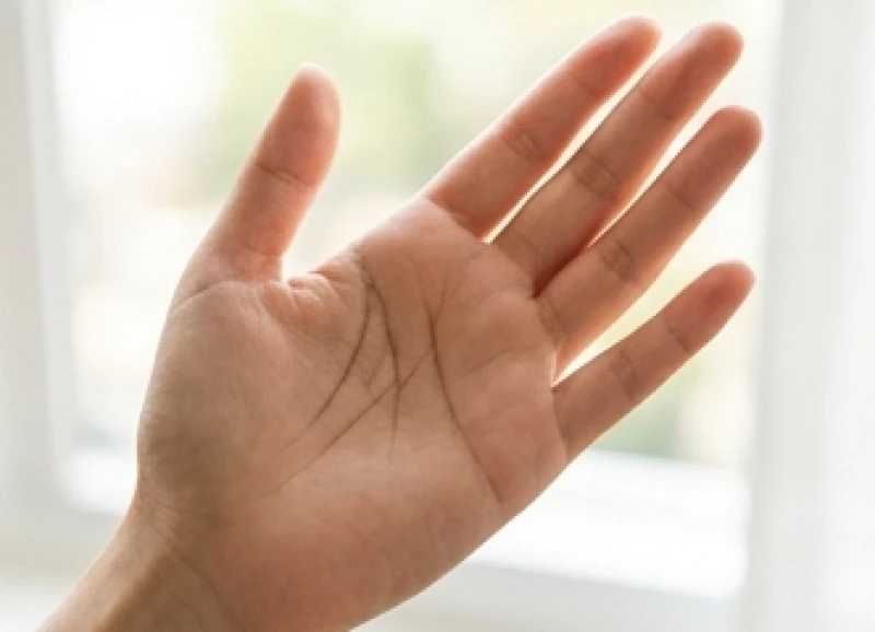 Đường trí đạo ở nữ có nhánh phụ hướng thẳng lên gò ngón trỏ thể hiện tham vọng