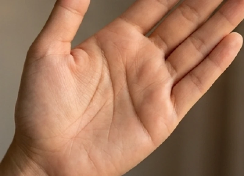 Đường học vấn rẽ nhánh hướng về gò Thủy Tinh dưới ngón út thể hiện tài kinh doanh