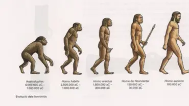 evoluciohumana c3ca1890