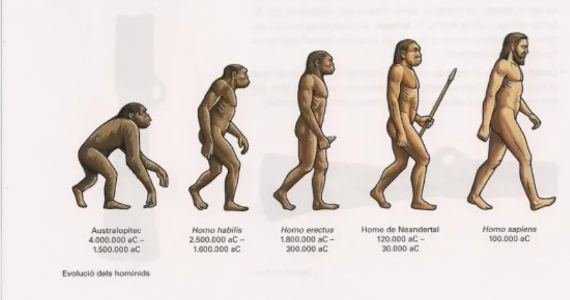 evoluciohumana c3ca1890