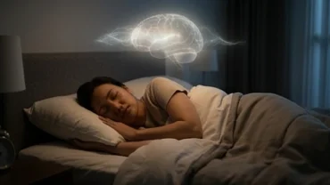 Khám phá chi tiết quá trình giấc mơ được hình thành như thế nào trong chu kỳ ngủ của não bộ