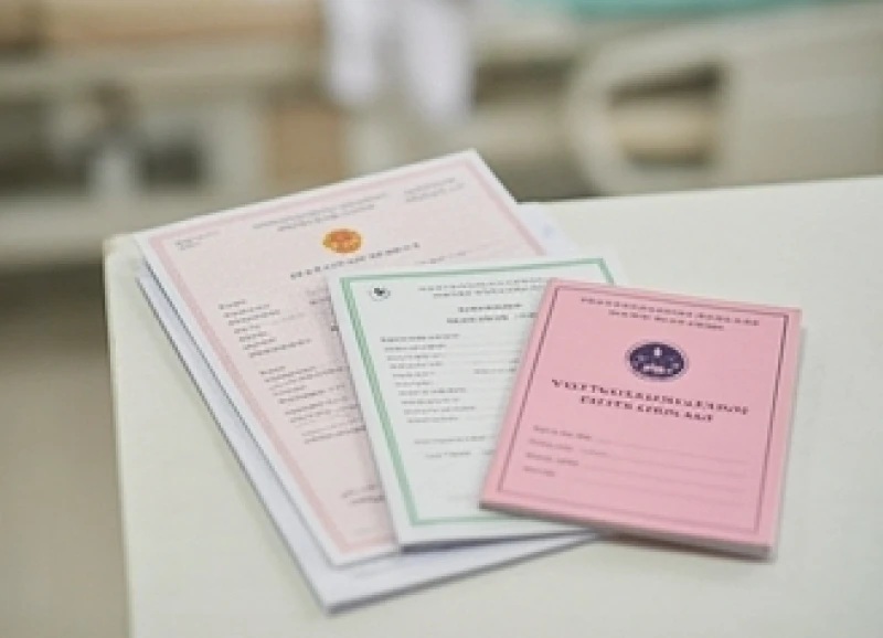 Văn khấn đón mẹ và bé từ viện về: nghi lễ chuẩn và mẹo an toàn 3 Tập hồ sơ y tế gồm giấy chứng sinh và sổ theo dõi tiêm chủng của em bé trước khi xuất viện