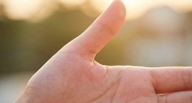 Gò Kim Tinh nổi cao và có màu sắc hồng hào tự nhiên trên lòng bàn tay thanh thoát của phụ nữ