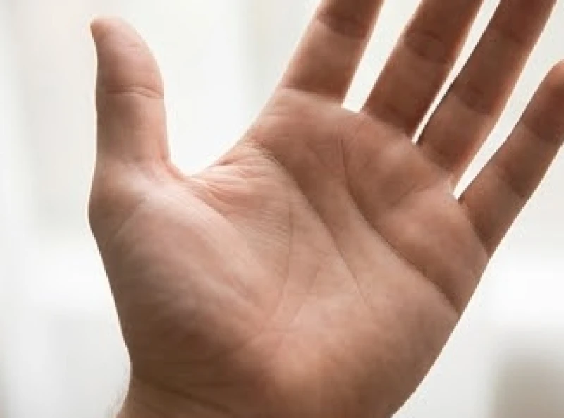 Đường sinh mệnh có dấu cắt ngang: Ý nghĩa lưu niên và cách hóa giải 2 Phần gò Kim Tinh đầy đặn cạnh đường sinh mệnh thể hiện sức sống dồi dào