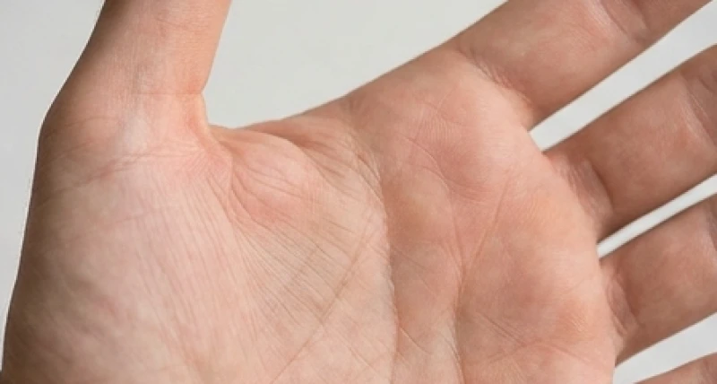 Gò Mộc Tinh trên bàn tay: Ý nghĩa công danh và cách hóa giải 4 Vùng gò Mộc Tinh xẹp lép và thiếu độ nhô dưới ngón tay trỏ bộc lộ sự e ngại trước những rủi ro